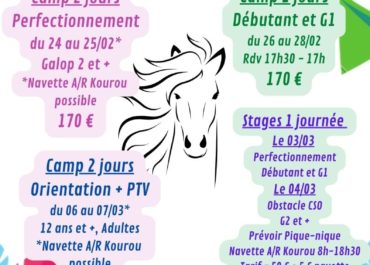 Carnaval à cheval au Royal Ranch
